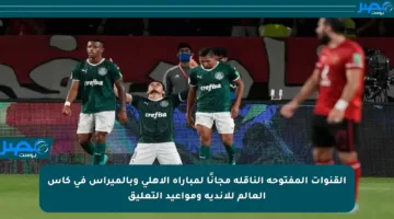 القنوات المفتوحة الناقلة مجانًا لمباراة الأهلي وبالميراس في كأس العالم للأندية ومواعيد التعليق